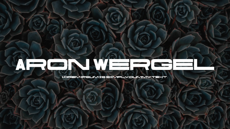 Aron Wergel Font