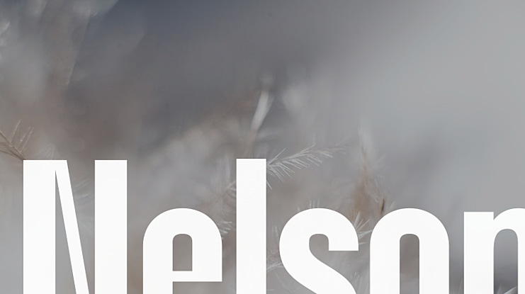 Nelson Font
