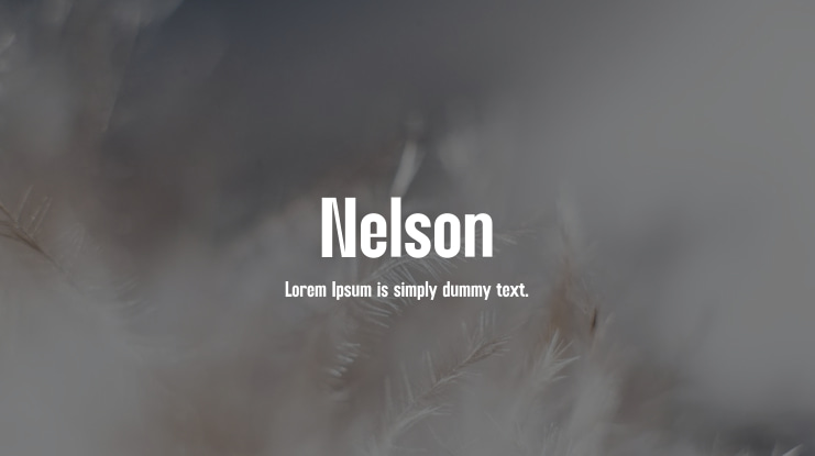 Nelson Font