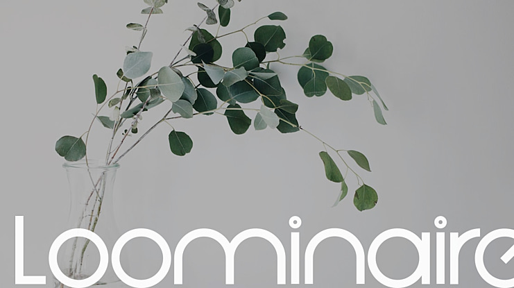 Loominaire Font