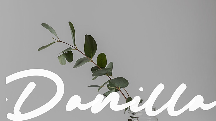 Danilla Font