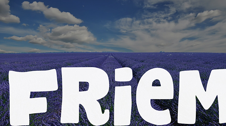 Friem Font Family