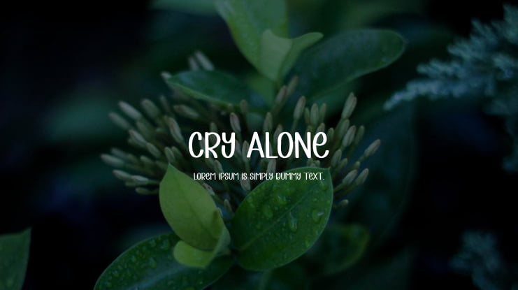 Cry Alone Font