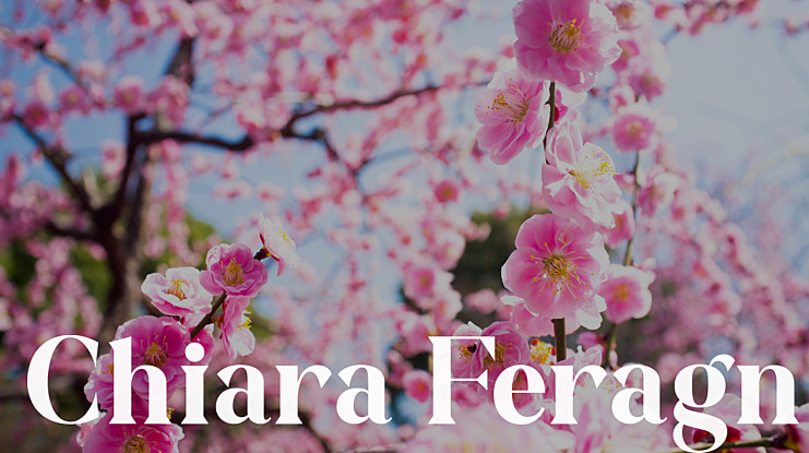 Chiara Feragni Font