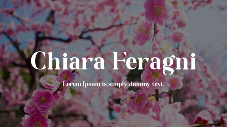 Chiara Feragni Font