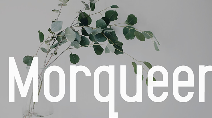 Morqueen Font