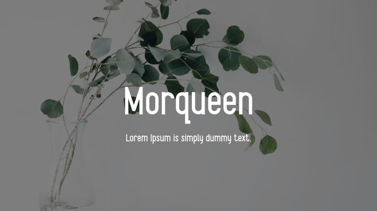 Morqueen Font