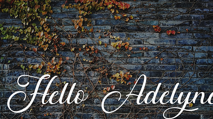 Hello Adelyne Font