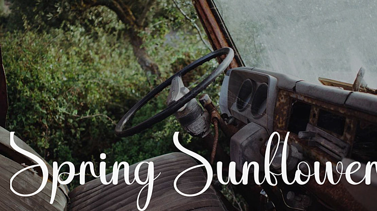 Spring Sunflower Font