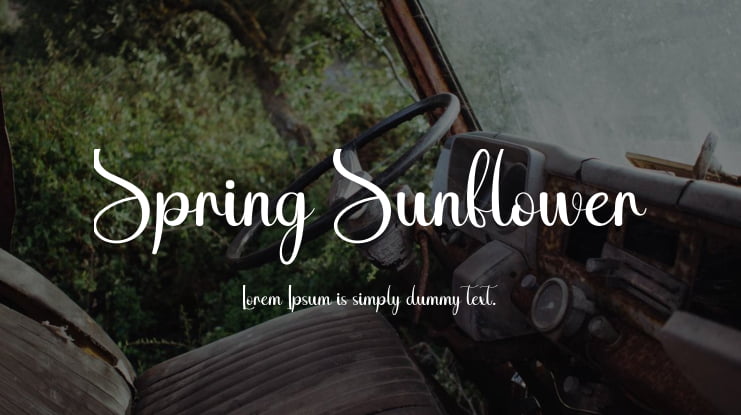 Spring Sunflower Font