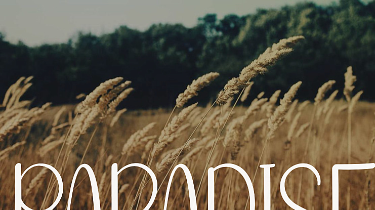 Paradise Font