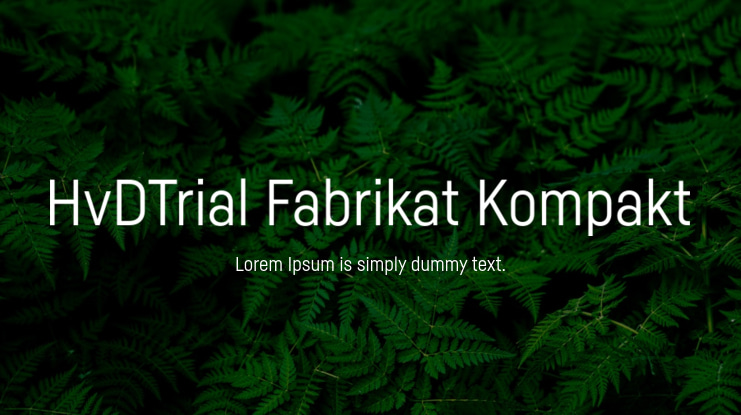 HvDTrial Fabrikat Kompakt Font Family