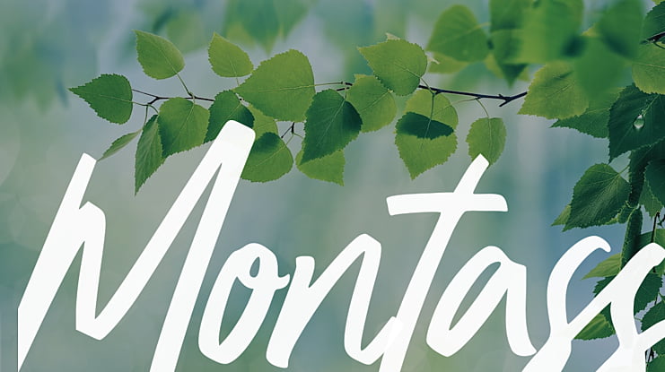 Montass Font