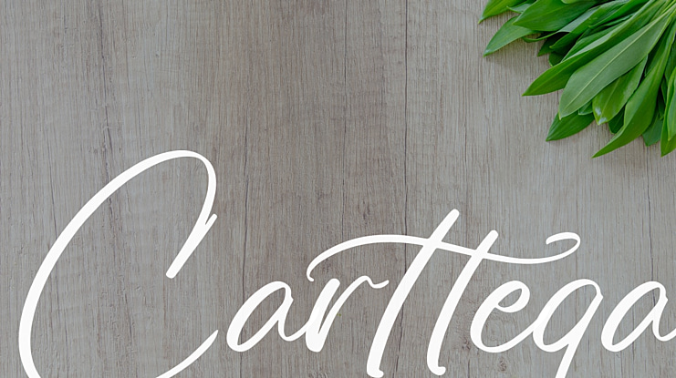 Cartteqa Font