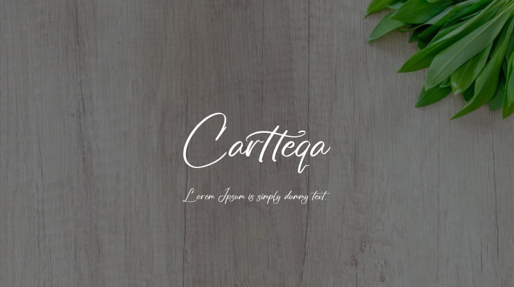 Cartteqa Font