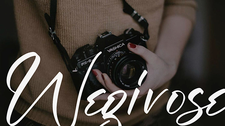 Wegirose Font