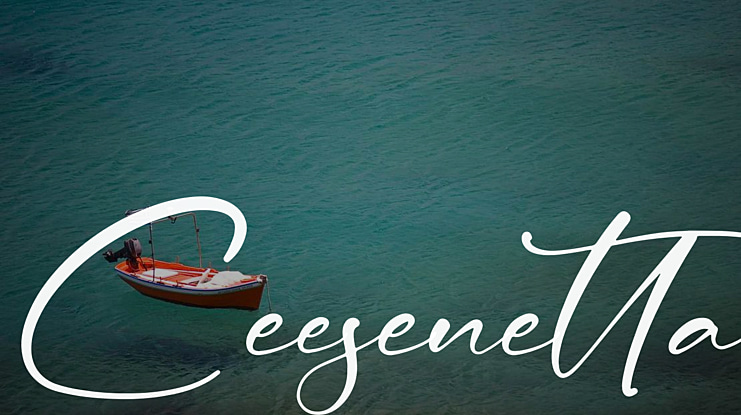 Ceesenetta Font