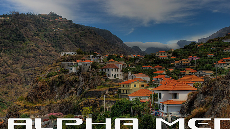 Alpha Men Font Family