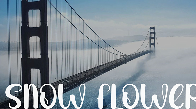 Snow Flower Font