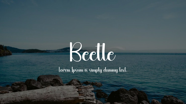 Beetle Font
