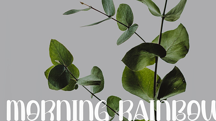 Morning Rainbow Font