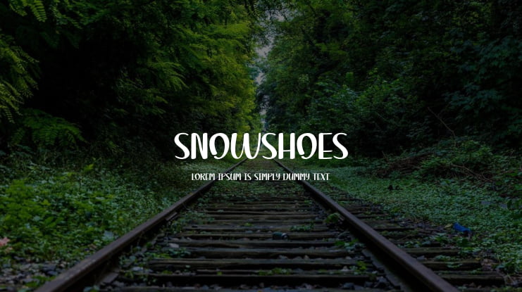Snowshoes Font