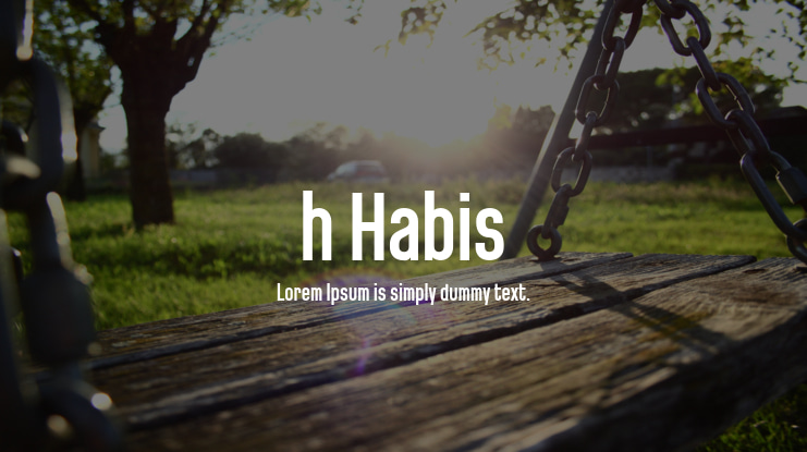 h Habis Font