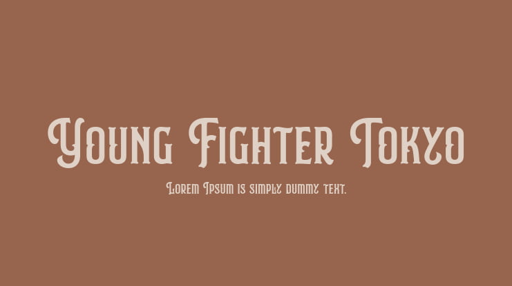Young Fighter Tokyo Font