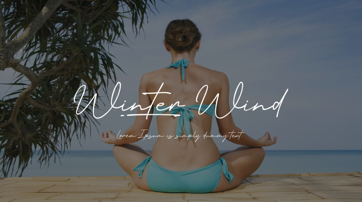 Winter Wind Font