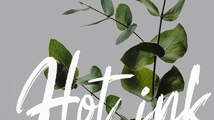 Hot ink Font Family