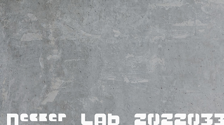 Necker LAB 20220330 Font