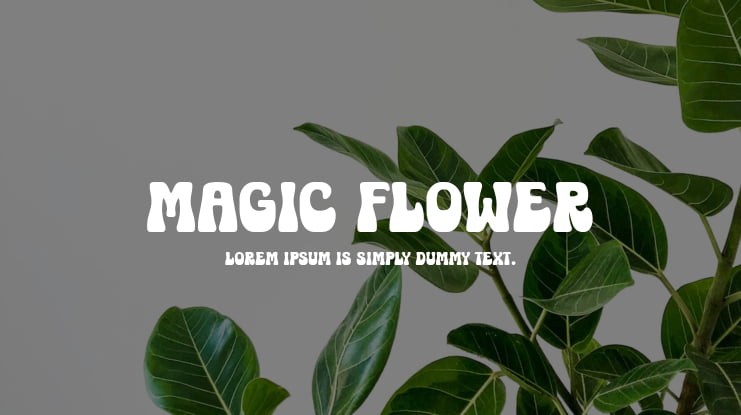 Magic Flower Font Family