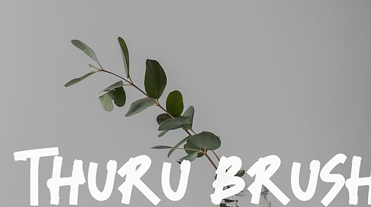 Thuru Brush Font