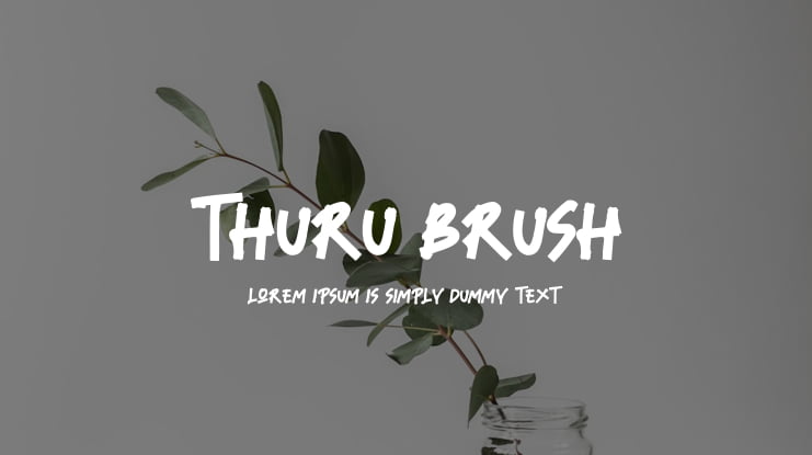 Thuru Brush Font