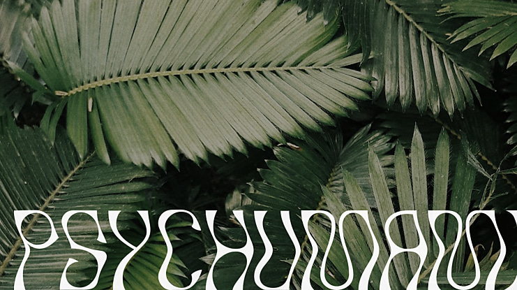 PsychUmami Font