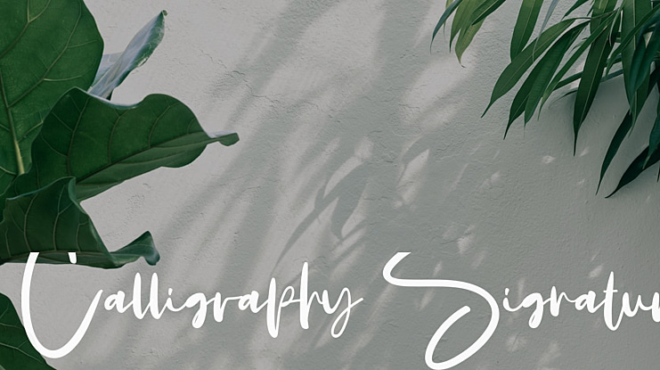 Calligraphy Signatur Font