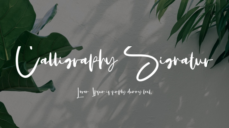 Calligraphy Signatur Font