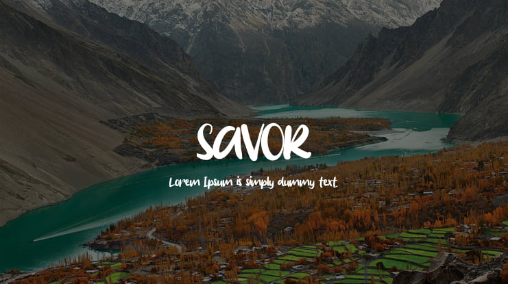 SAVOR Font