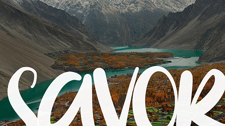 SAVOR Font