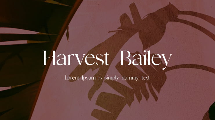 Harvest Bailey Font Family
