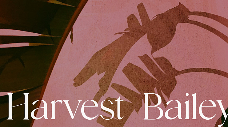 Harvest Bailey Font Family