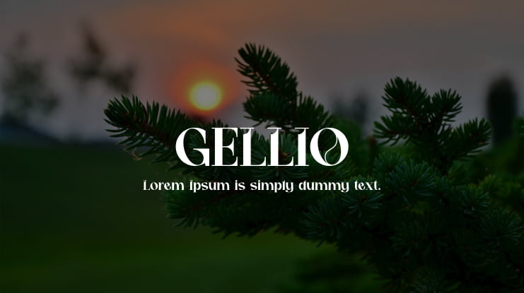 GELLIO Font