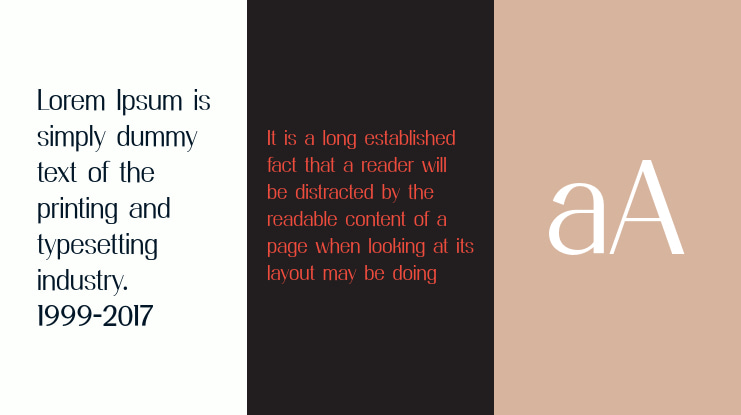 PLAYFUL RUNWAY Font Family