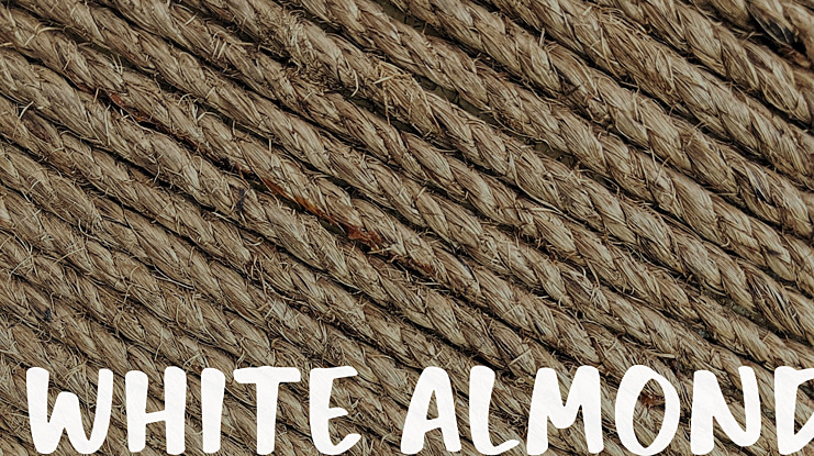 White Almond Font