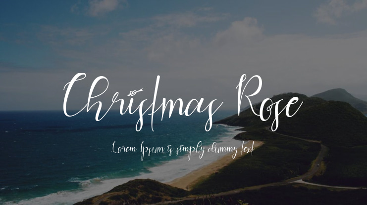 Christmas Rose Font