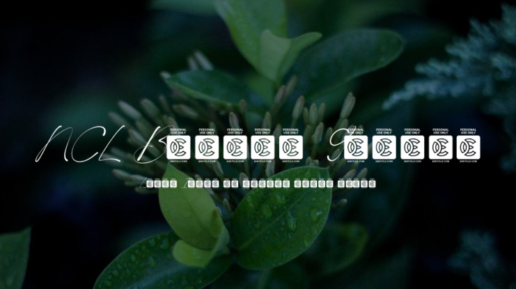 NCL Boquet Guides Font