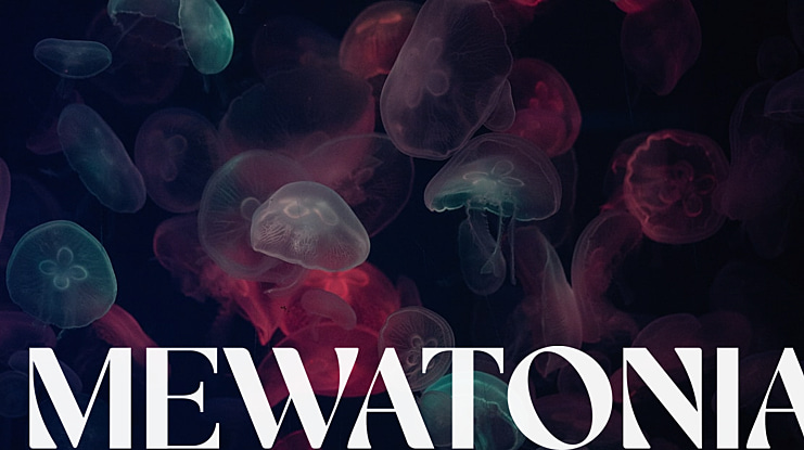 MEWATONIA Font