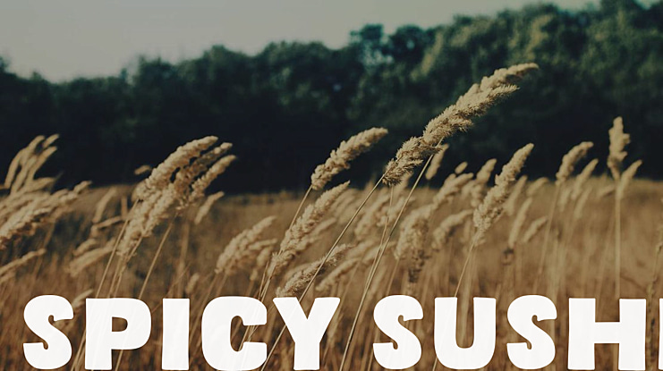 Spicy Sushi Font