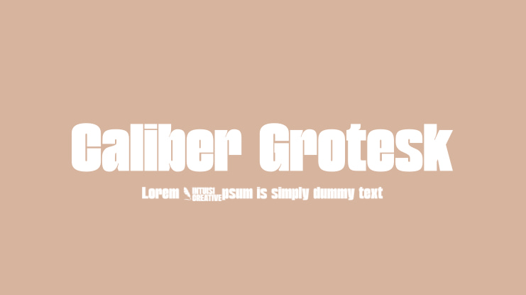 Caliber Grotesk Font