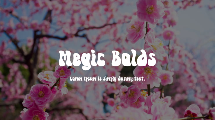 Megic Bolds Font